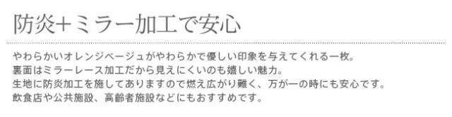 暖簾 のれん norenn 間仕切り カーテン タペストリー 防炎 防炎加工 防炎機能 花柄 フラワー柄 シンプル ベージュ オレンジ 老人ホーム 高齢者施設