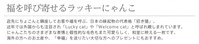 暖簾 norenn メッセージ暖簾 カーテン 間仕切り インテリア 和室 和風 和柄 詫び寂び ツートン 日本 蜻蛉 とんぼ 虫 昆虫 貼り絵 絵 つまみ細工 秋 風水 モチーフ 幸運 縁起物 150丈 JAPANESE NIPPON