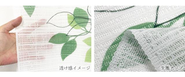 暖簾 norenn カーテン 間仕切り タペストリー パーテーション 目隠し インテリア 窓 ドア 扉 ラインアート リーフ柄 ナチュラル ボタニカル 自然 植物 モダン シンプル 葉っぱ アイビー 可愛い きれい ガーデン ラインリーフ