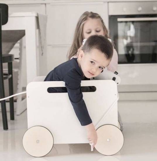 驚きの安さ おもちゃ箱 収納 おもちゃ箱 キャスター 台車 おうち時間 おもちゃ入れ 収納 引き車 収納ボックス おもちゃ 収納 おもちゃ箱 キャスター 内祝い Olsonesq Com