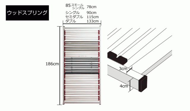 メテオのサイズ