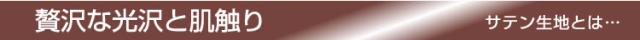 サテンタイトル