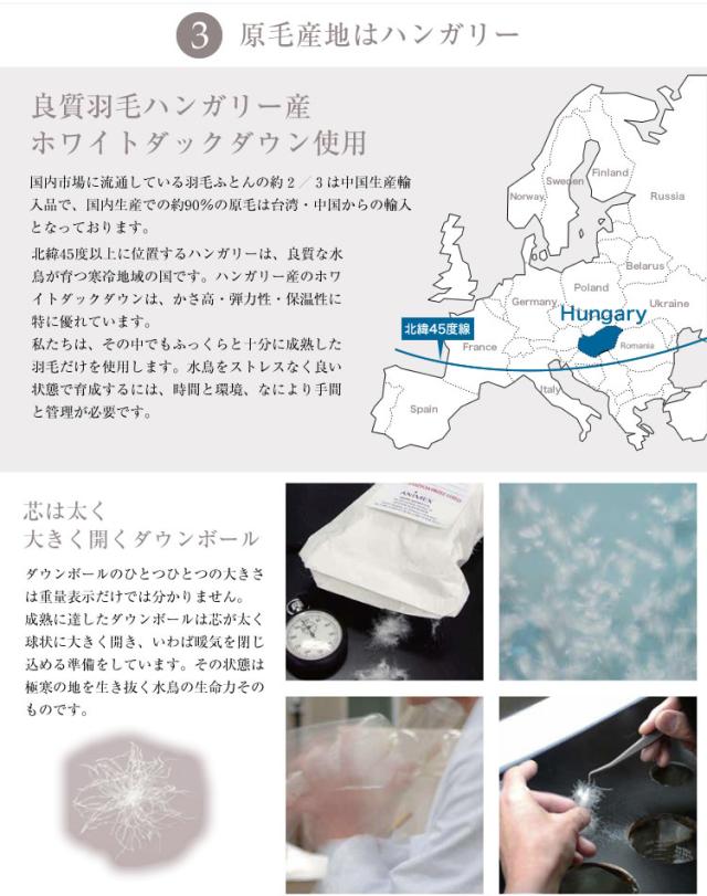 ハンガリー産ホワイトダックダウン