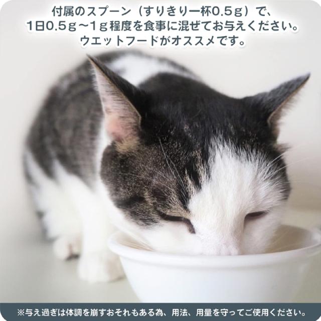 くしゃみ　鼻水　鼻詰まり