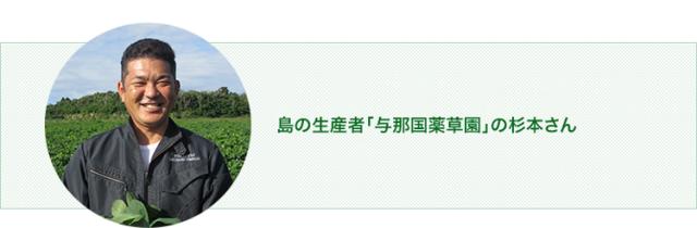 生産者の杉本さん