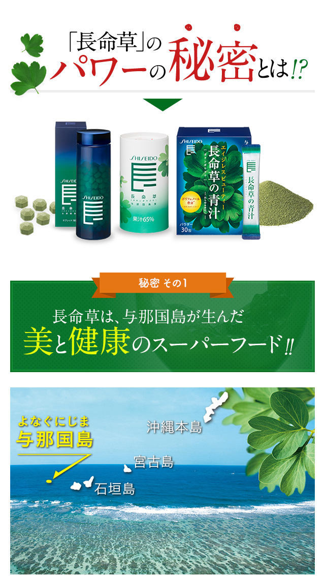 SHISEIDO (資生堂) - 【新品・未開封】資生堂　長命草ドリンクM 30本✖️2ケース SHISEIDO】長命草 ＜ドリンク＞N 30本 | ビューティーギフト