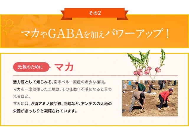 大特価 ｒｊ ローヤルゼリー 資生堂 ｒｊ ｅｘ ｎ 30本 クライマックスセール Conetica Com Mx