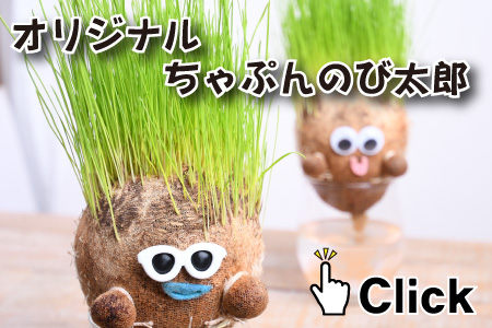 ちゃっぷんのび太郎