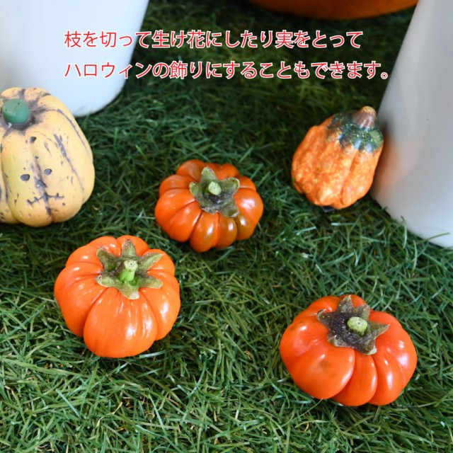 予約品 10月上旬から順次発送】ハロウィン寄せ植え パンプキンツリーの