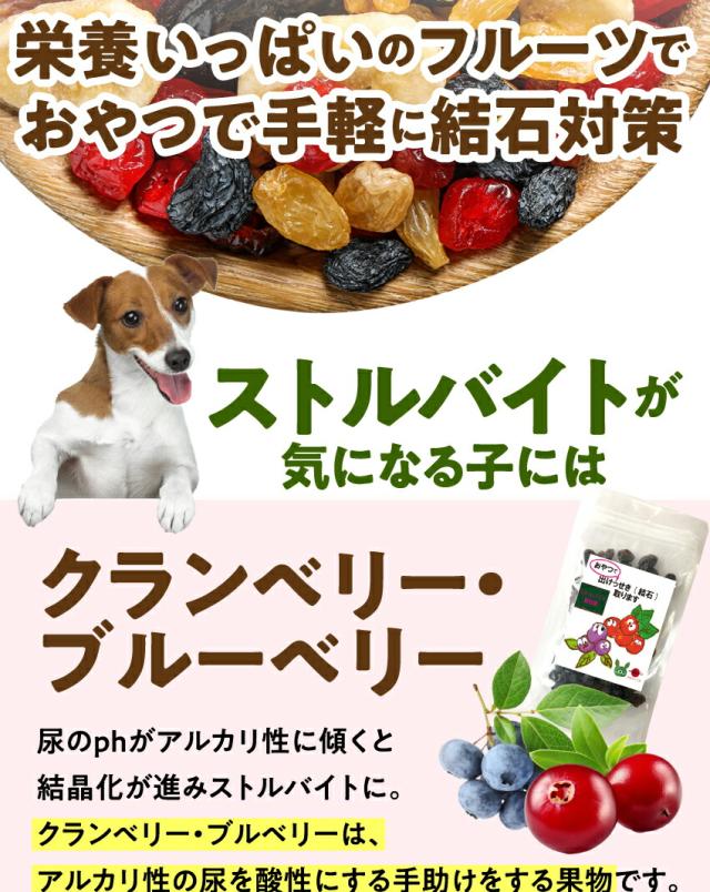 新しいコレクション 犬 猫用 サプリ おやつで出けっせき 結石 取ります 2袋 無添加 通常配送 送料無料 お気にいる Lovemesomegadgets Com