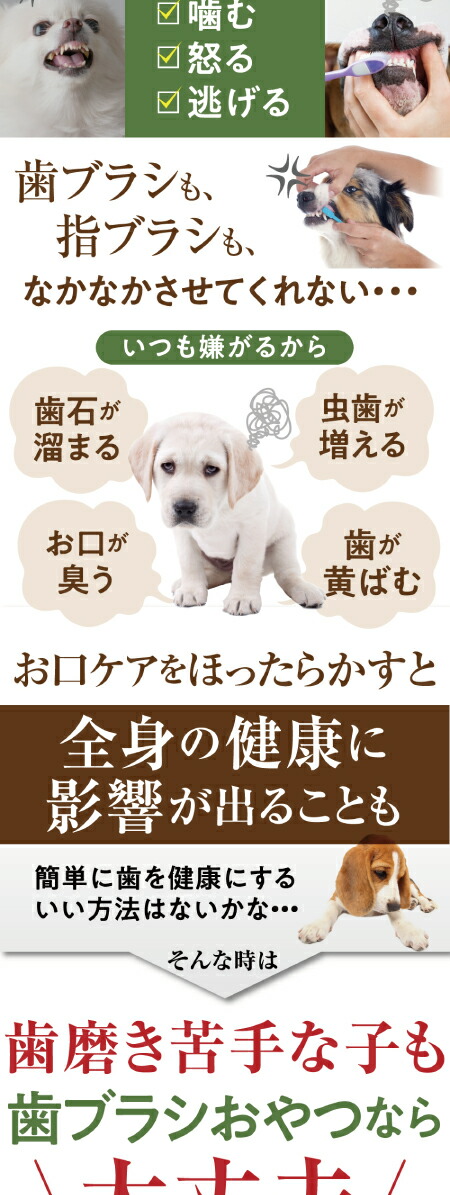 犬 猫 歯石 歯垢に無添加 食べる 歯ブラシ 革命 大袋 サプリのような歯磨き おやつ 通常便 の通販はau Pay マーケット 犬のご飯とケーキ のドッグダイナー
