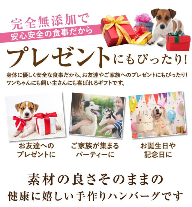 売り尽くしセール 犬用 手作りご飯 ダイエット ハンバーグ 大袋 個入 無添加 国産 冷凍 売り尽くし価格 Carlavista Com