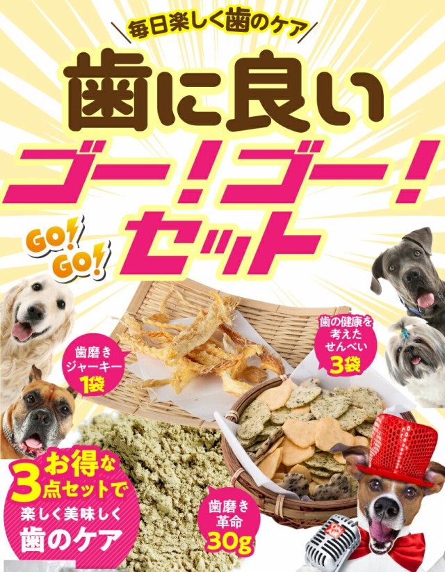 完売 犬 犬用 無添加 サプリ おやつ ５点セット 歯に良いゴーゴー セット 歯磨き 歯石 歯垢に 国産 通常便 送料無料 絶賛 Www Centrodeladultomayor Com Uy