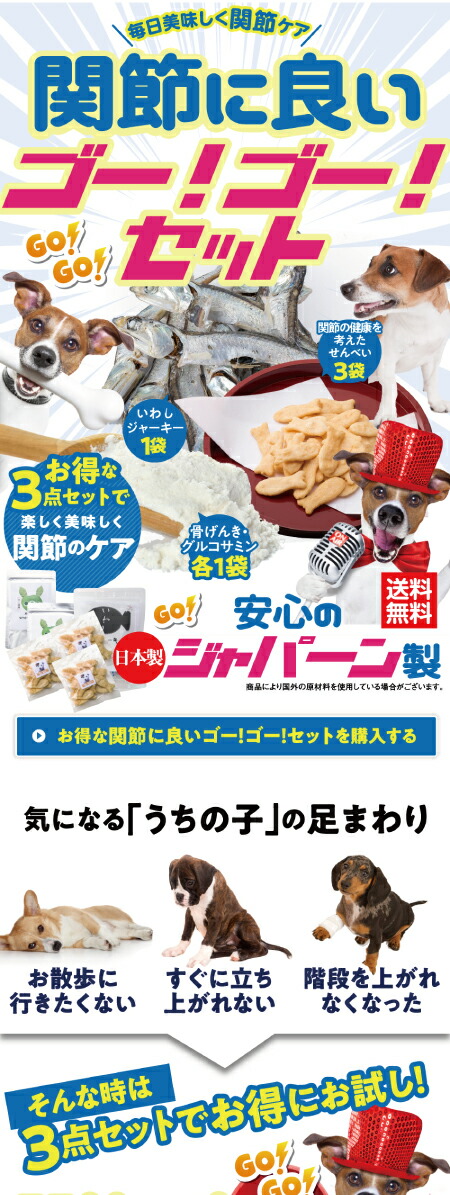 犬 骨 足 腰のサプリ おやつ 関節に良いゴーゴー セット 無添加 国産 通常便 送料無料 の通販はau Pay マーケット 犬 のご飯とケーキのドッグダイナー