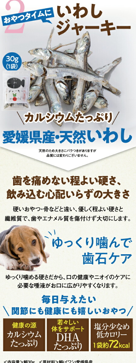 犬 骨 足 腰のサプリ おやつ 関節に良いゴーゴー セット 無添加 国産 通常便 送料無料 の通販はau Pay マーケット 犬 のご飯とケーキのドッグダイナー