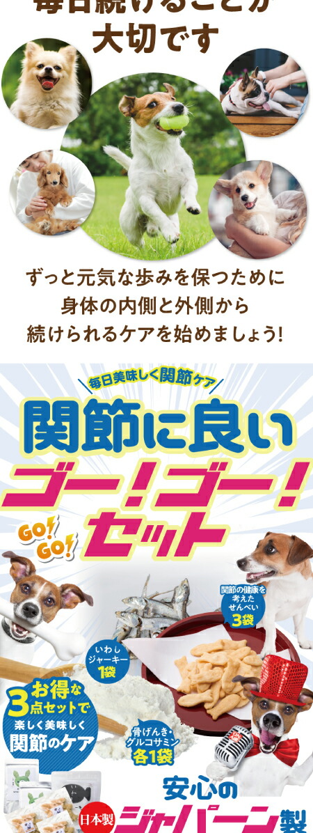犬 骨 足 腰のサプリ おやつ 関節に良いゴーゴー セット 無添加 国産 通常便 送料無料 の通販はau Pay マーケット 犬 のご飯とケーキのドッグダイナー