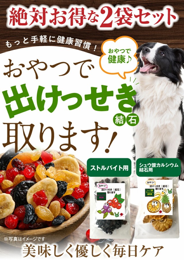 数量限定 犬 猫用 サプリ おやつで出けっせき 結石 取ります 2袋 無添加 通常配送 送料無料 超目玉 Gdpcambodia Org