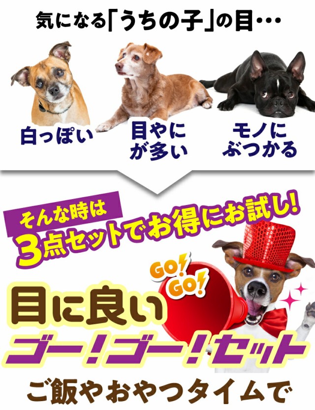 Sale 送料無料 犬 視力 涙焼けのケア サプリとおやつ 目に良いゴーゴーセット 無添加 国産 通常便 送料無料 セール開催中 Www Iacymperu Org