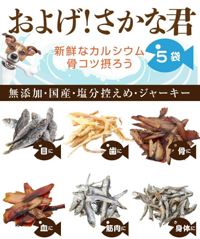 まとめ買い歓迎 犬 ペット用 無添加 国産 おやつ およげ さかな君 ５袋 魚 ジャーキー 通常便 送料無料 送料無料 Centrodeladultomayor Com Uy