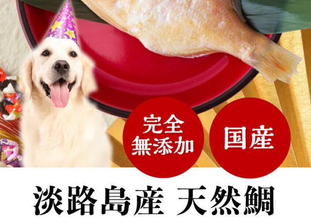 お洒落 犬 誕生日やお祝いにケーキと一緒に縁起魚 金目鯛 姿煮 おめで鯛 3袋 通常便 送料無料 人気第1位 Diquinsa Com Mx