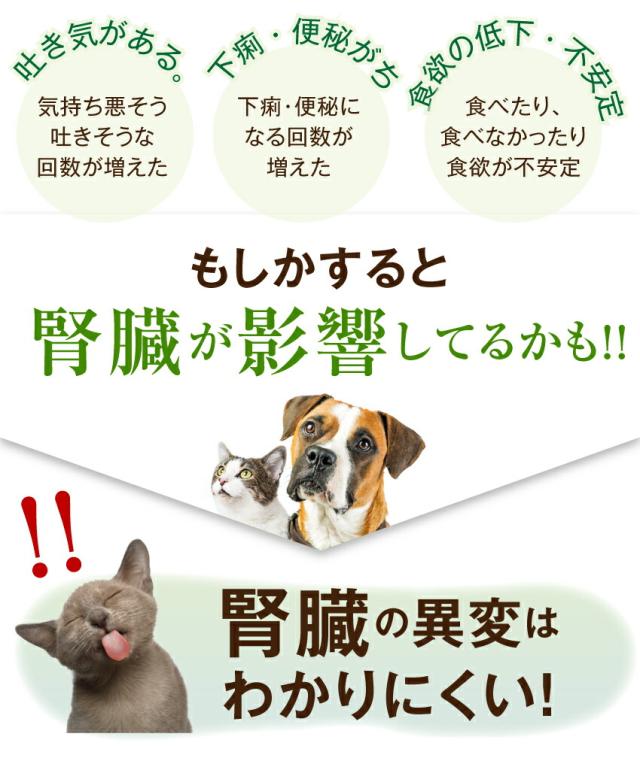 信頼 犬・猫用 サプリ(かん腎(腎臓)かなめ)無添加【メール便・送料無料