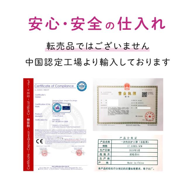 大人 マスク　花粉