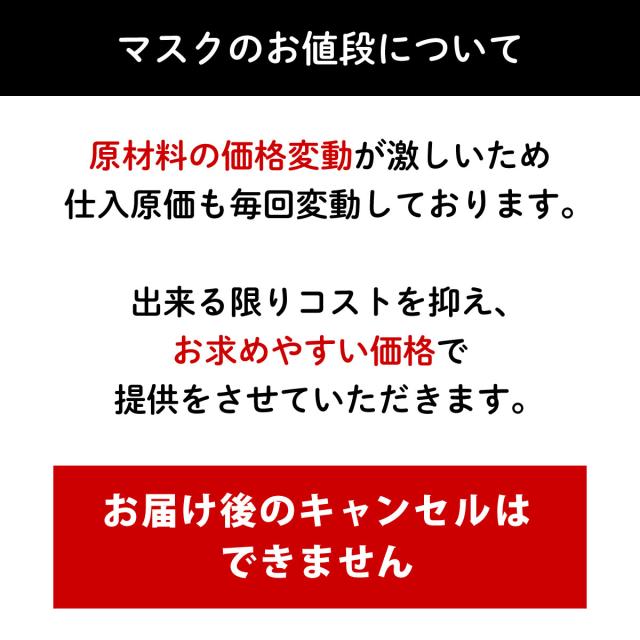 大人 マスク 花粉