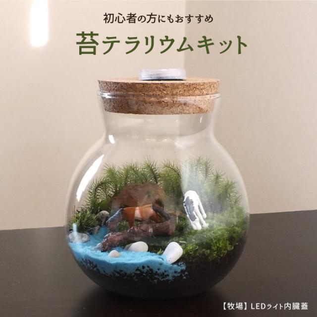 【牧場/LEDライト内臓蓋】苔テラリウム 苔リウム コケリウム 盆栽 苔 手作り キット 巣ごもり おうち時間 ガーデニング 観葉植物 園芸 癒し ギフト 誕生日 プレゼント 初心者 スターターキット