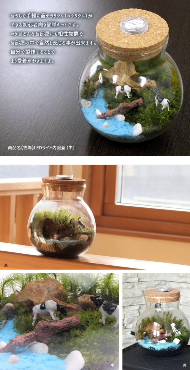 【牧場/LEDライト内臓蓋】苔テラリウム 苔リウム コケリウム 盆栽 苔 手作り キット 巣ごもり おうち時間 ガーデニング 観葉植物 園芸 癒し ギフト 誕生日 プレゼント 初心者 スターターキット