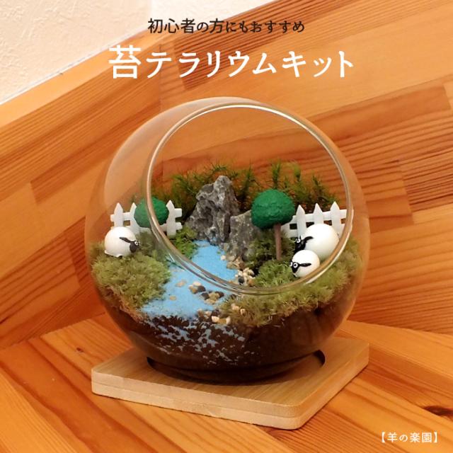 【羊の楽園】苔テラリウム 苔リウム コケリウム 盆栽 苔 手作り キット 巣ごもり おうち時間 ガーデニング 観葉植物 園芸 癒し ギフト 誕生日 プレゼント 初心者 スターターキット