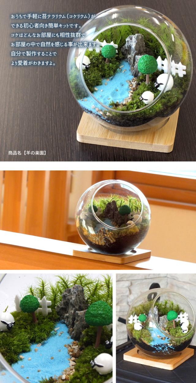 【羊の楽園】苔テラリウム 苔リウム コケリウム 盆栽 苔 手作り キット 巣ごもり おうち時間 ガーデニング 観葉植物 園芸 癒し ギフト 誕生日 プレゼント 初心者 スターターキット