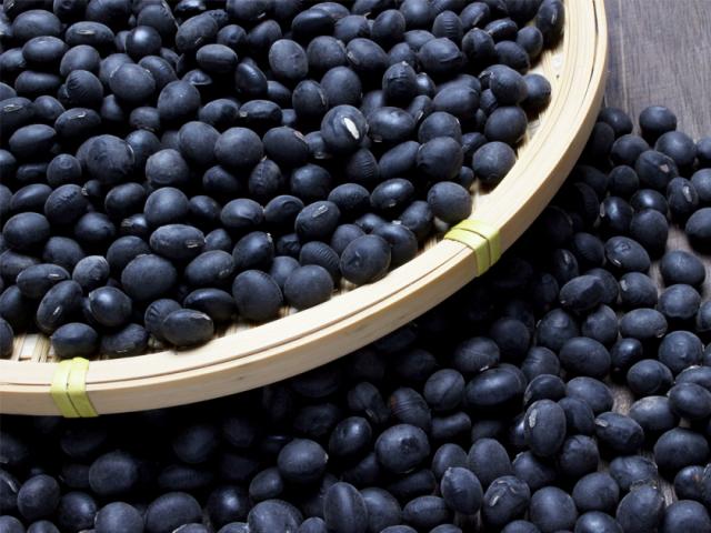 無農薬・有機オーガニック「黒豆」