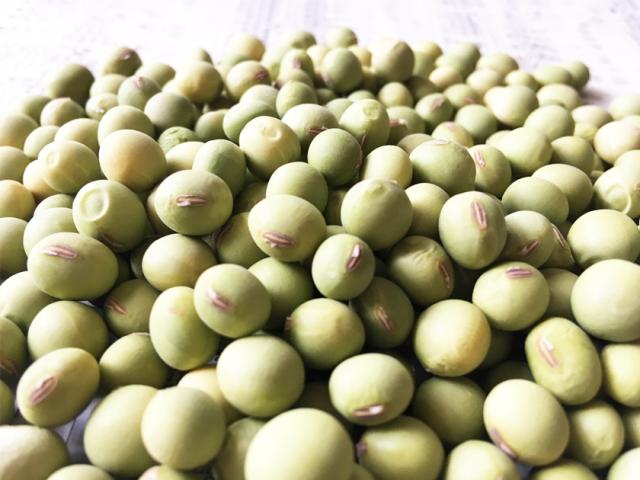 無農薬・有機オーガニック 青大豆 