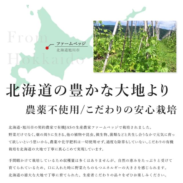 無農薬・有機オーガニック 青大豆 