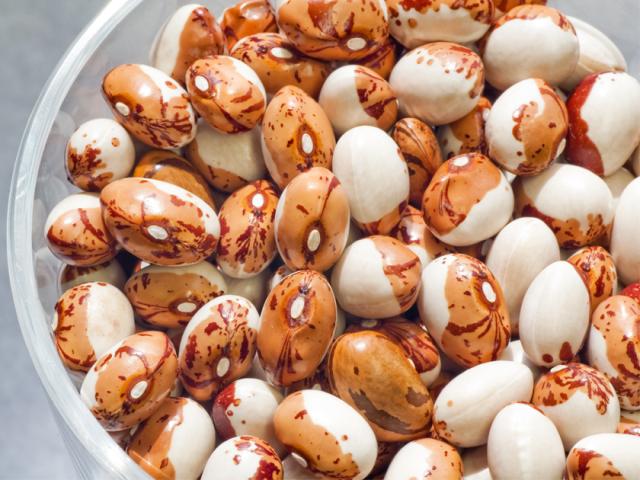 無農薬・有機オーガニック「とら豆」