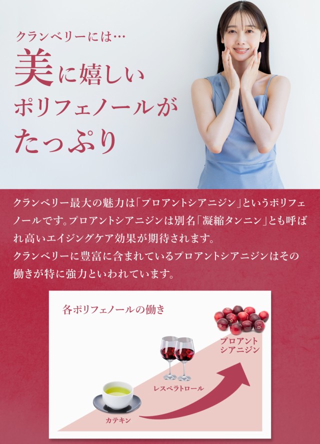 有機 オーガニック クランベリー 無添加 無着色 砂糖不使用