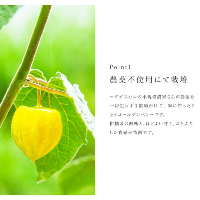 ゴールデンベリー インカベリー 食用ほおずき