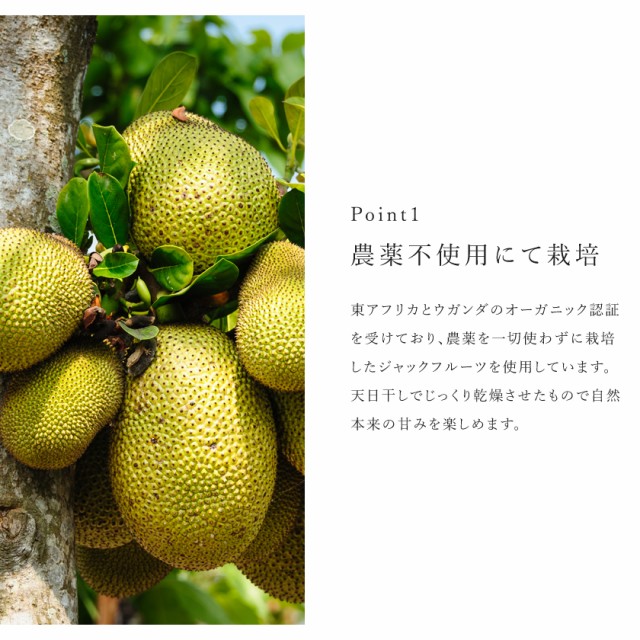 激レア 沖縄産 ジャックフルーツ パラミツ 自然栽培 無農薬 JackFruit - 果物