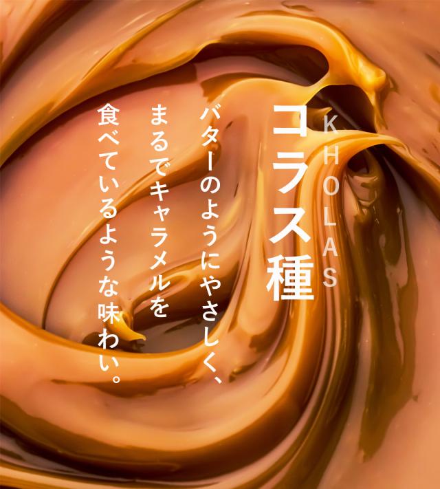 有機 オーガニック デーツ なつめやし