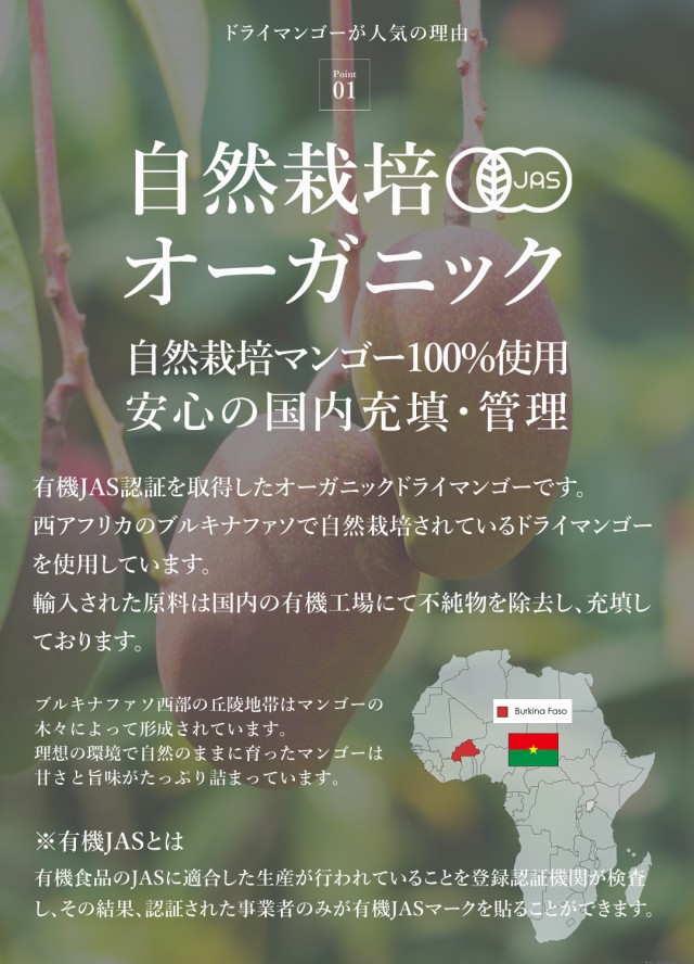 有機 オーガニック ドライマンゴー