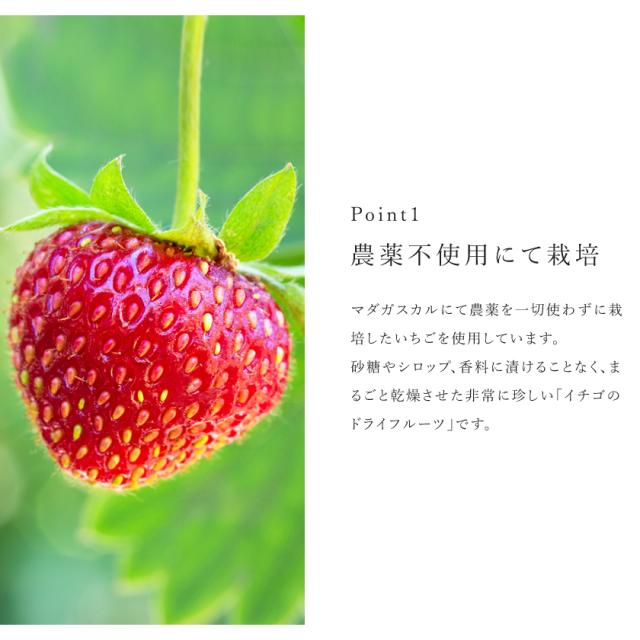 ドライいちご 苺 ストロベリー