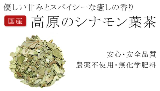 シナモン　ティー　無農薬・無化学肥料　有機栽培オーガニック　効能　肉桂(ニッキ)/桂皮　効果 シナモン葉茶　国産