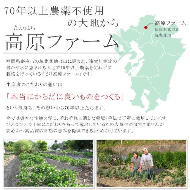 完全無農薬・無肥料の自然栽培　スギナ茶