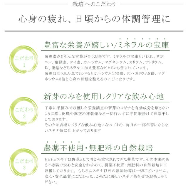 完全無農薬・無肥料の自然栽培　スギナ茶