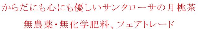 有機栽培健康茶 無農薬・無化学肥料月桃茶