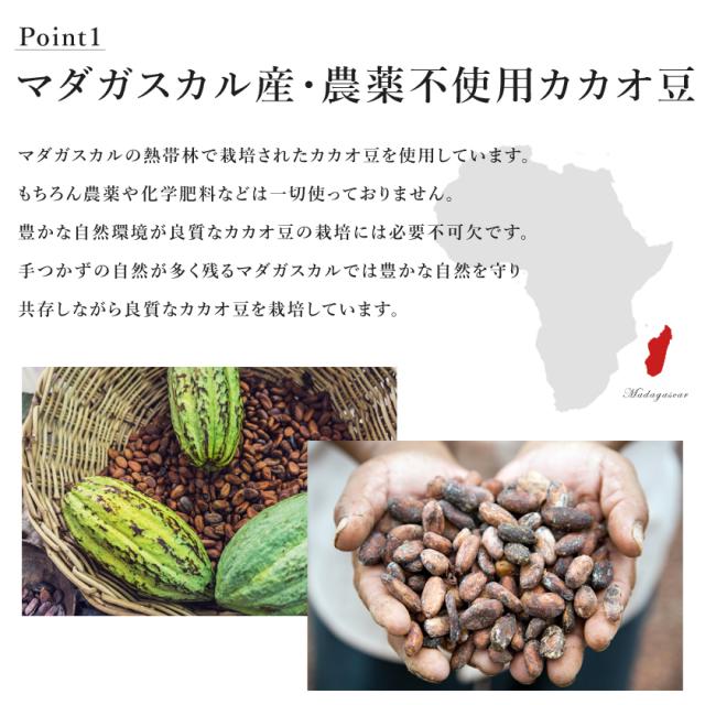 カカオ豆 カカオビーンズ