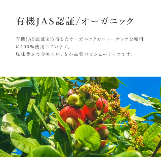 有機 オーガニック カシューナッツ