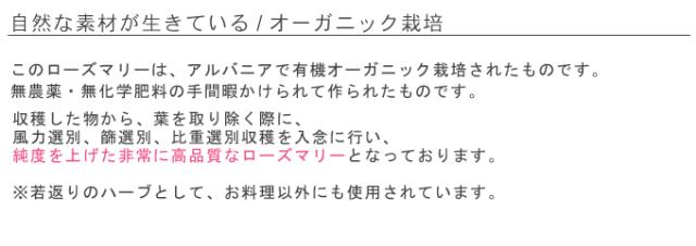 無農薬・有機オーガニックハーブのローズマリー