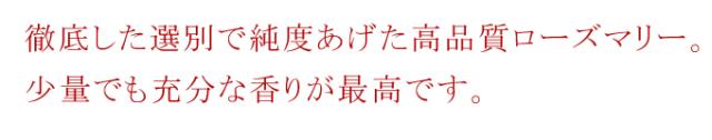 無農薬・有機オーガニックハーブのローズマリー
