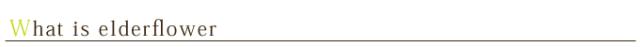 有機栽培オーガニックハーブ　無農薬　無化学肥料　エルダーフラワー　santarosa　サンタローサ